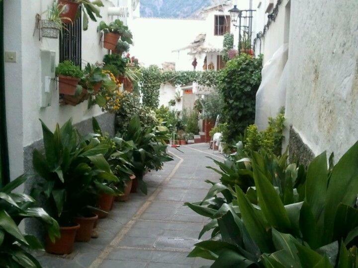 Casa San Tomas Villa Guejar Sierra Eksteriør bilde